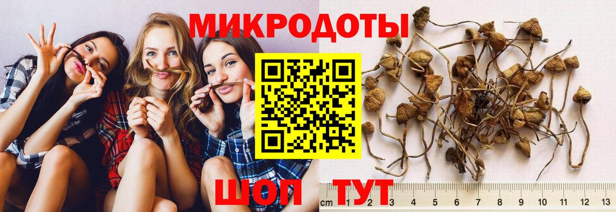 Псилоцибиновые грибы Psilocybe  Вход с VPN  Омск 
